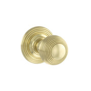 Polished Brass
