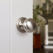 Satin Nickel