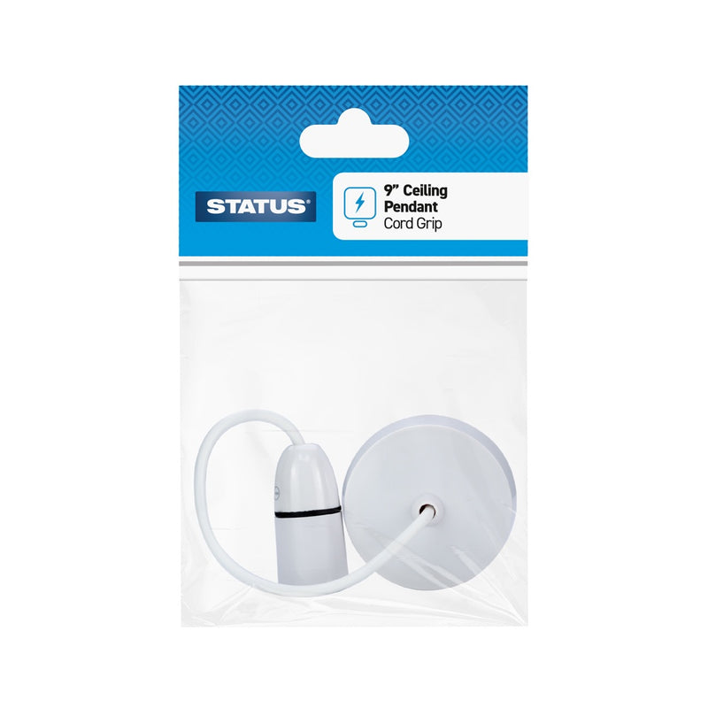 Status Ceiling Pendant 9” BC