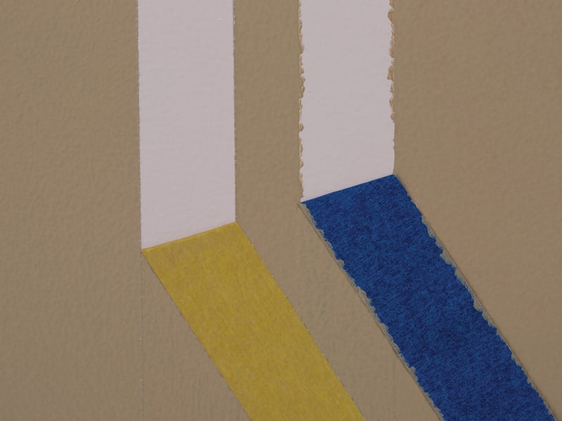 FrogTape® Delicate Surface Masking Tape 48mm x 55m