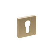 Satin Brass
