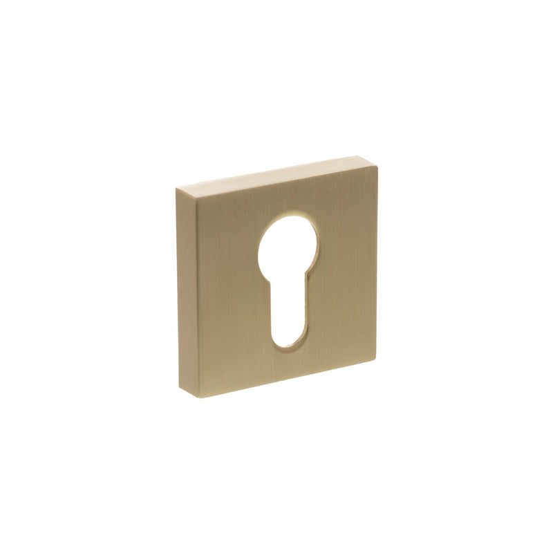 Satin Brass