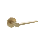 Satin Brass