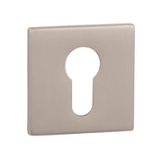 Pearl Nickel