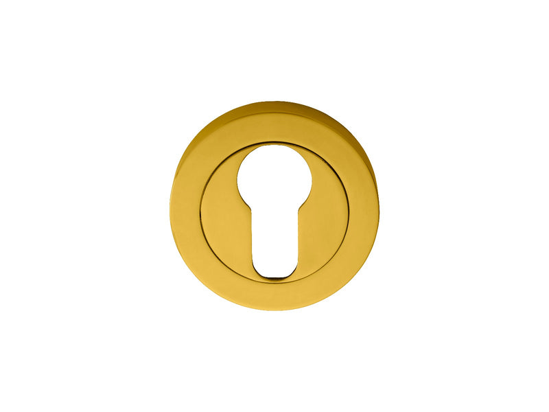 Escutcheon - Euro Profile On Concealed Fix Round Rose - Polished Brass 51MM