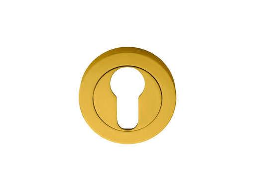 Escutcheon - Euro Profile On Concealed Fix Round Rose - Polished Brass 51MM