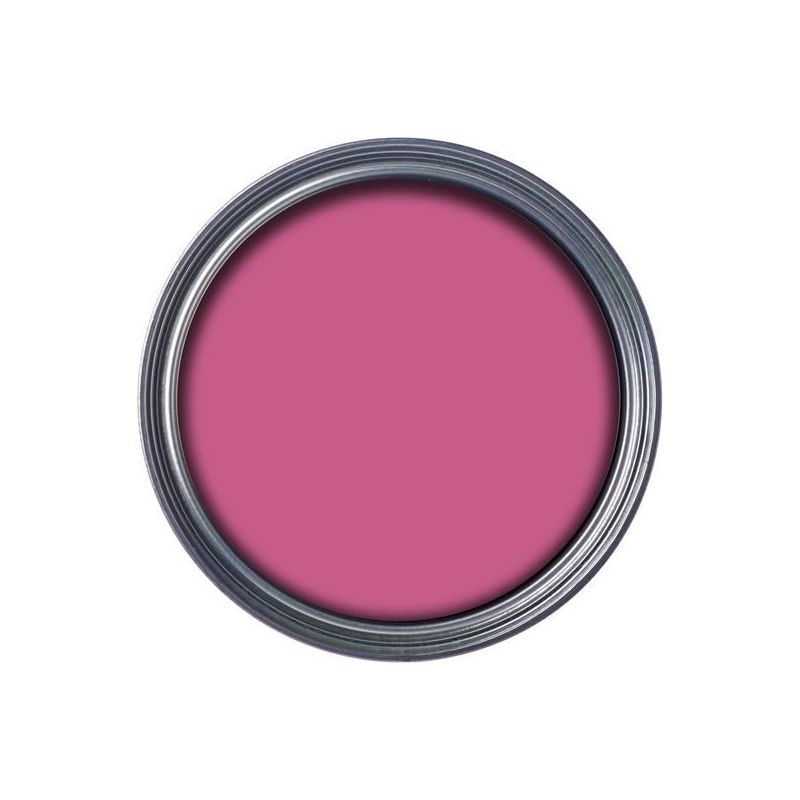 Ronseal Garden Paint Pink Jasmine 250ml Ronseal - RockBottom Nothampton