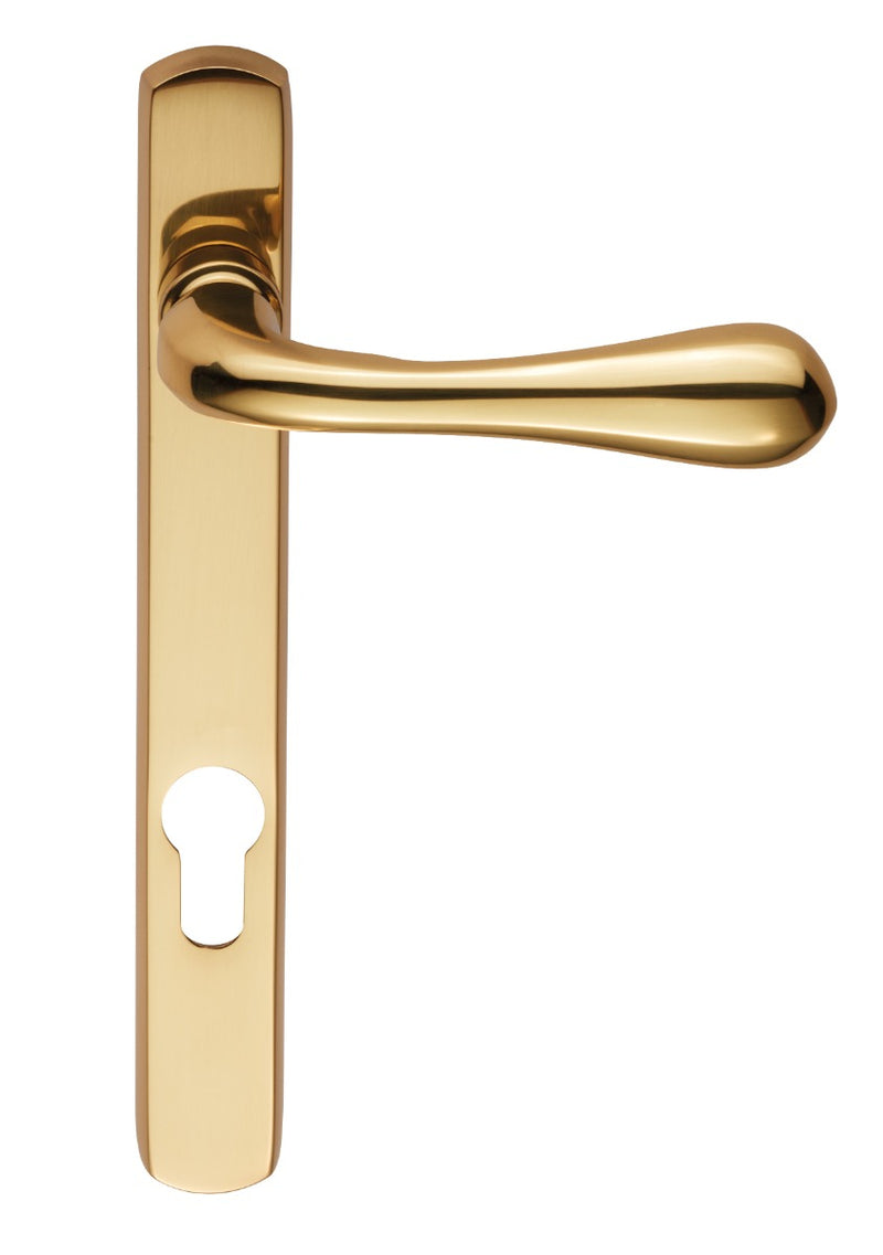 Narrow Plate - Astro Lever Lock Euro Profile Furniture (92Mm C/C ) (As1Np) Otl (Polished Brass) - Polished Brass 208MM X 26MM
