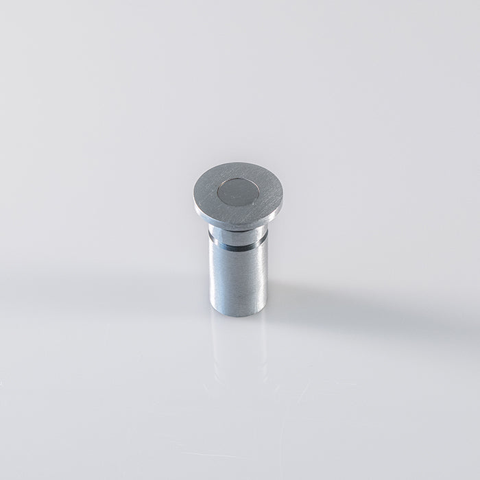 Dust Excluding Drive In Socket For Flush Bolt (Concrete Only) - Satin Chrome 25 (DIA)