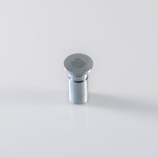 Dust Excluding Drive In Socket For Flush Bolt (Concrete Only) - Satin Chrome 25 (DIA)