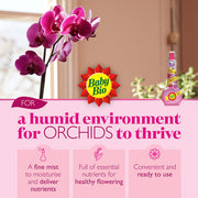 Baby Bio Feed & mist Liquid Orchid Plant feed, 175ml