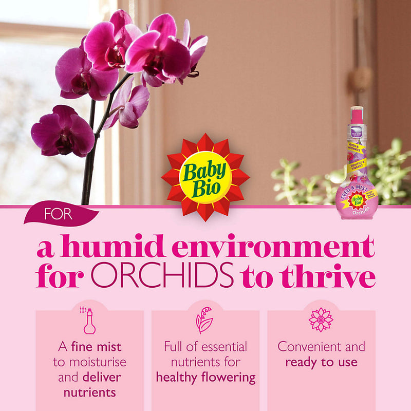 Baby Bio Feed & mist Liquid Orchid Plant feed, 175ml