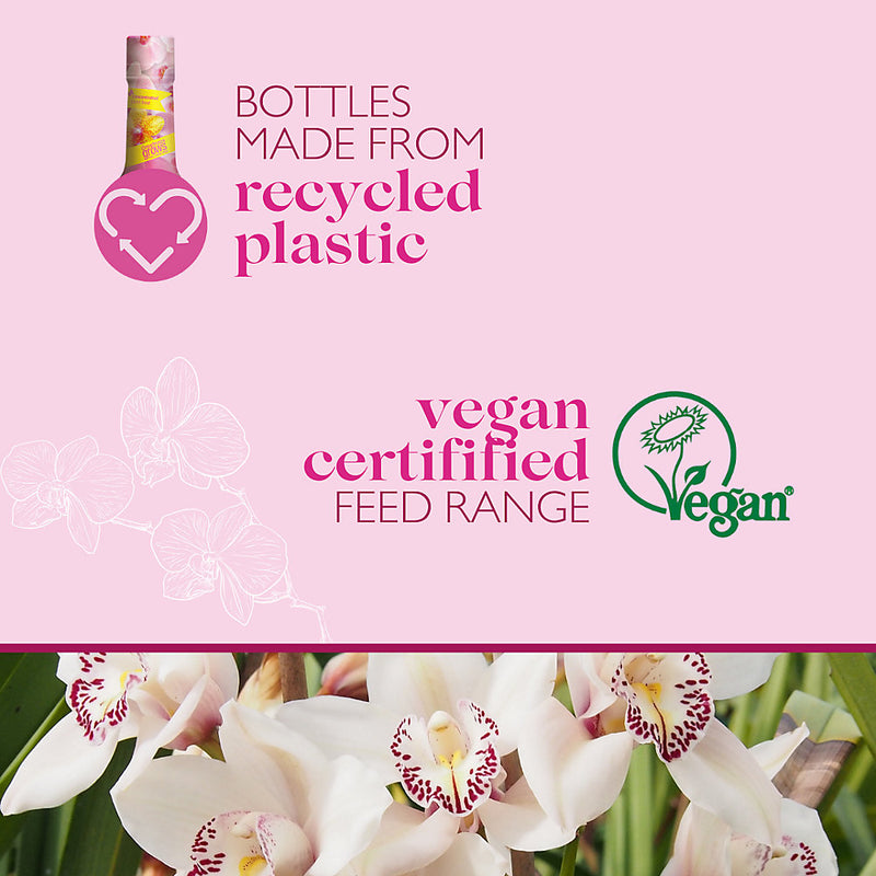 Baby Bio Feed & mist Liquid Orchid Plant feed, 175ml