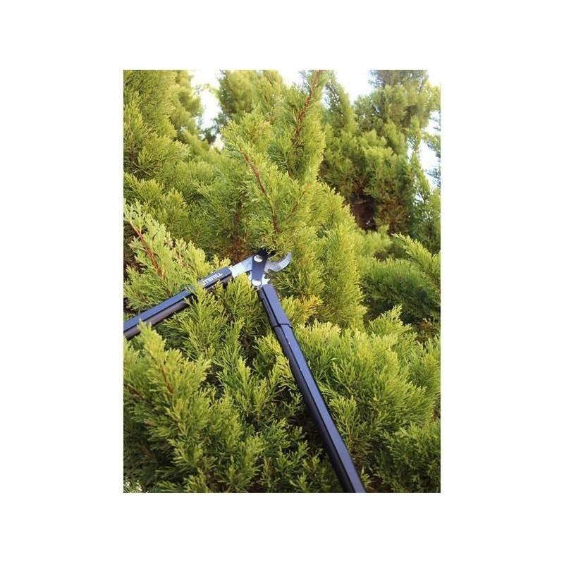 Faithfull Countryman Geared Bypass Lopper 600mm (24in) Faithfull - RockBottom Northampton