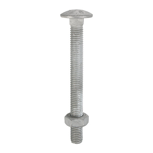 TIMCO Carriage Bolts DIN603 & Hex Full Nuts DIN934 Hot Dipped Galvanised