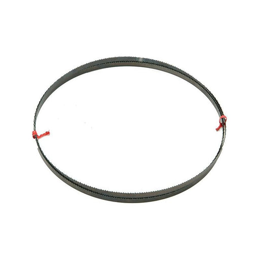 Dewalt Power Tools DT8481 General Purpose Bandsaw Blade 2095 x 12mm x 6 TPI DeWALT Power Tools - RockBottom Northampton