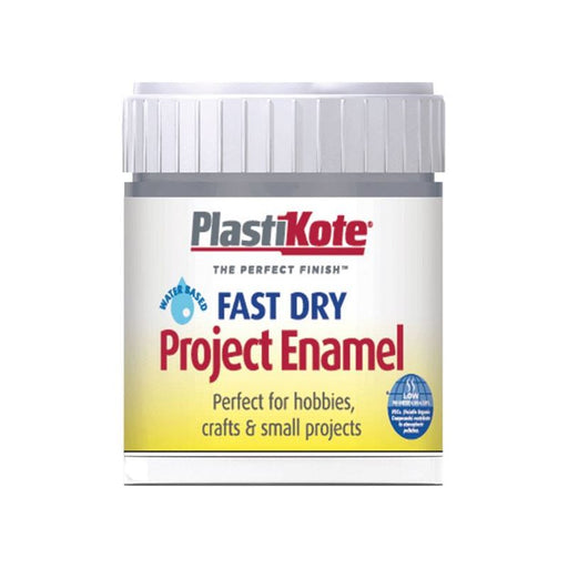 Plastikote Fast Dry Enamel Paint B52 Bottle Pewter 59ml PlastiKote - RockBottom Nothampton