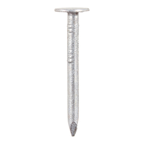 TIMCO Clout Nails Galvanised — 2kg Tub