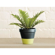 Ronseal Garden Paint Blackbird 750ml Ronseal - RockBottom Nothampton