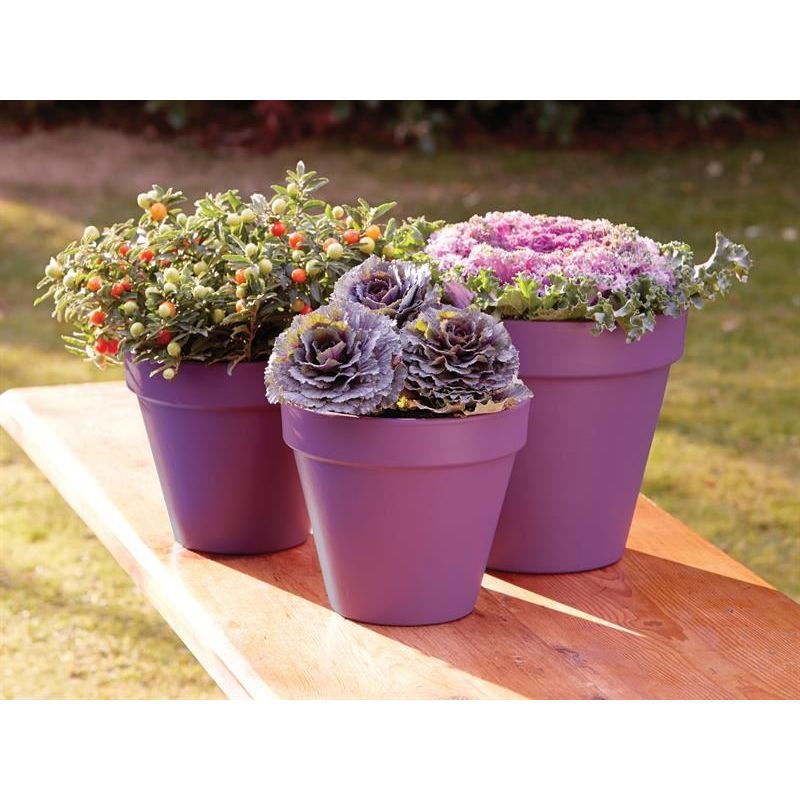 Ronseal Garden Paint Purple Berry 2.5 litre Ronseal - RockBottom Nothampton