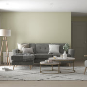 Dulux Fresh Artichoke Matt Wall & ceiling Emulsion paint, 30ml Tester pot