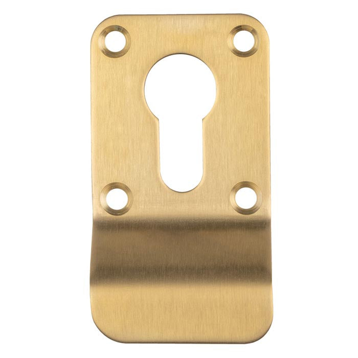 Cylinder Pull - Euro Profile - Satin PVD
