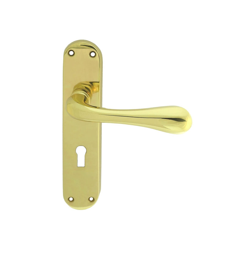 Astro Lever On Backplate - Lock 57Mm C/C Otl (Polished Brass) - Polished Brass 185MM X 40MM
