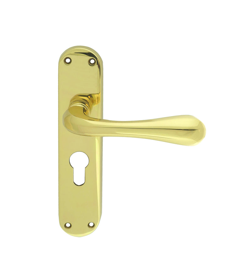 Astro Lever On Backplate - Lock Euro Profile 47.5Mm C/C Otl (Polished Brass) - Polished Brass 185MM X 41MM