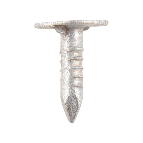 TIMCO Extra Large Head Clout Nails Galvanised — 2kg Bag