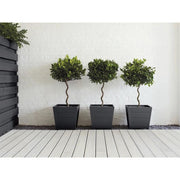 Ronseal Garden Paint Blackbird 2.5 litre Ronseal - RockBottom Nothampton