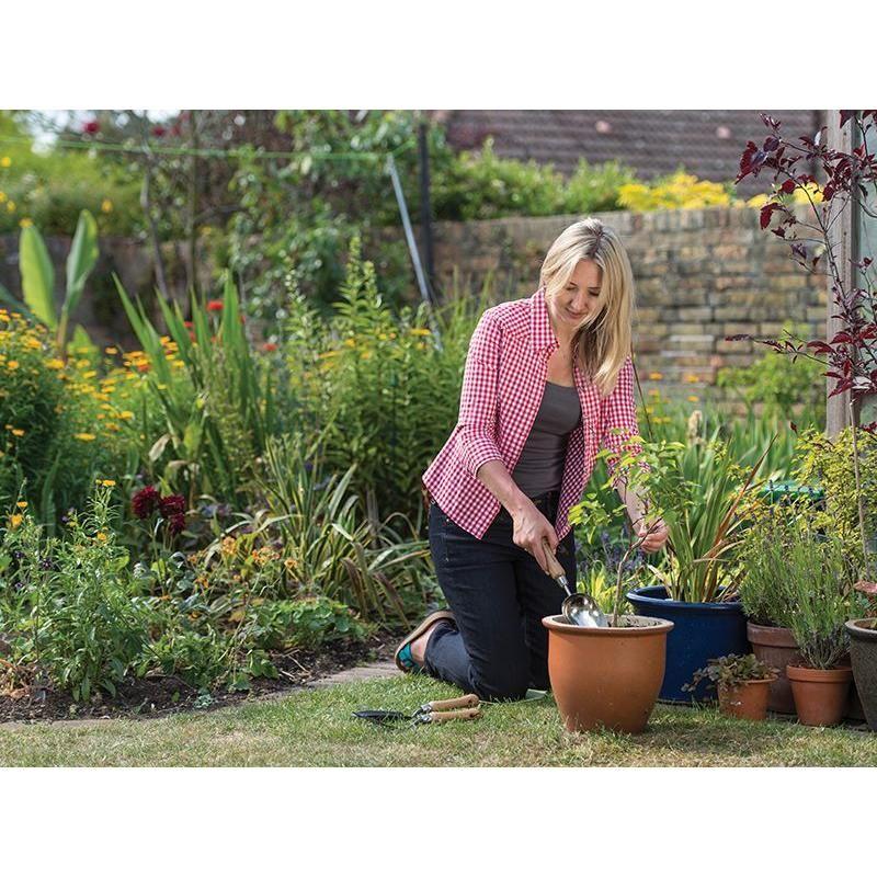 Kent & Stowe Stainless Steel Hand Potting Scoop, FSC® Kent & Stowe - RockBottom Northampton