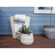 Ronseal Fence Life Plus+ Cornflower 5 litre Ronseal - RockBottom Nothampton