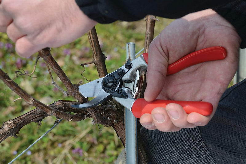 Felco Model 7 Professional Secateurs Large Rotating Right Handed