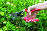 Felco Model 7 Professional Secateurs Large Rotating Right Handed