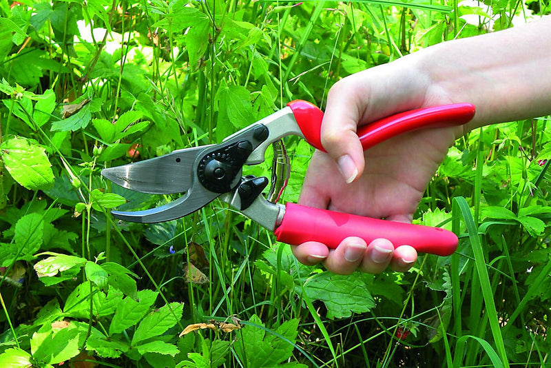 Felco Model 7 Professional Secateurs Large Rotating Right Handed