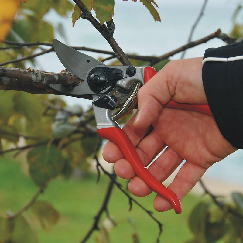 Felco No8 Secateurs Large Hand