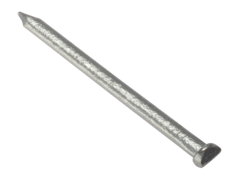 Oval Hd Nail Galv 40mm 500gm Bag (D2)