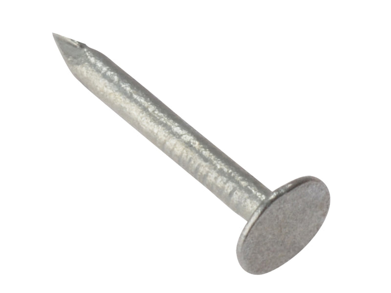 Clout Nail Galv 2.65x30mm 250gm Bag (D27)