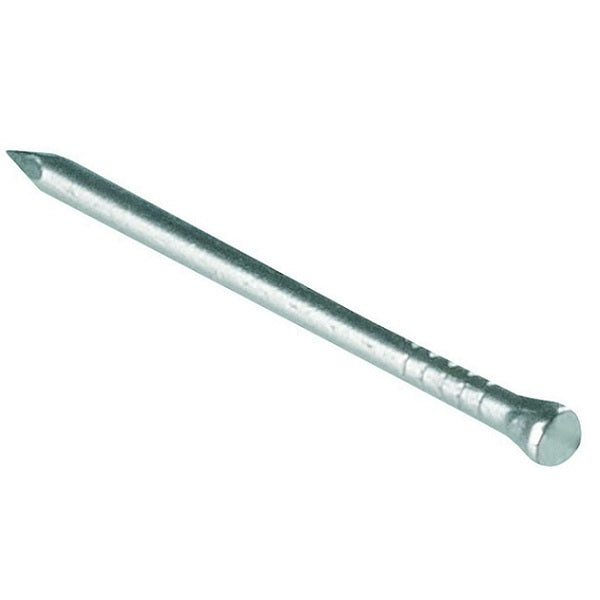 St/Steel Panel Pins 30x1.60mm 1kg Bx