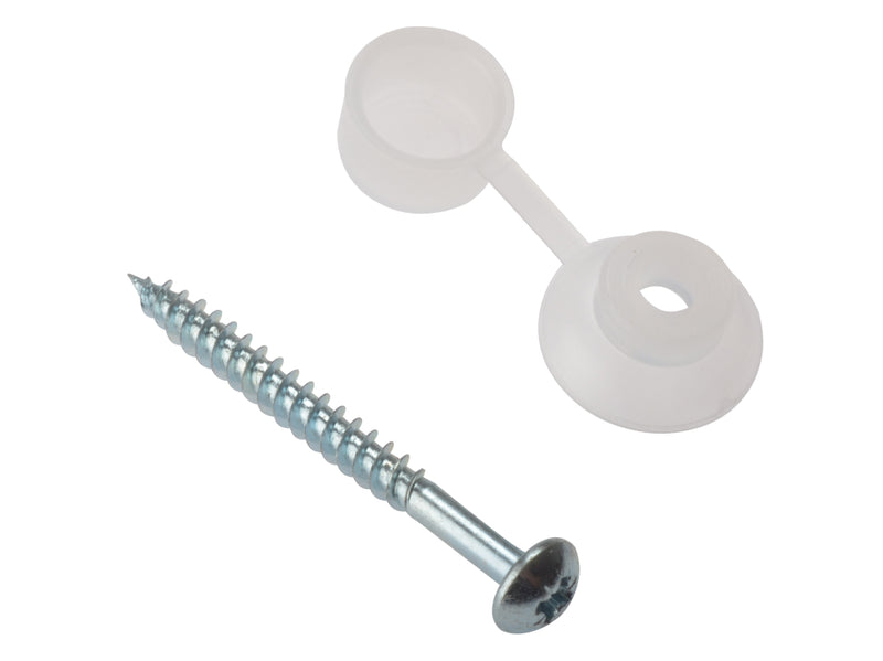 Corrugated Roofing Screw & Cap 10 Per Bag (D26)