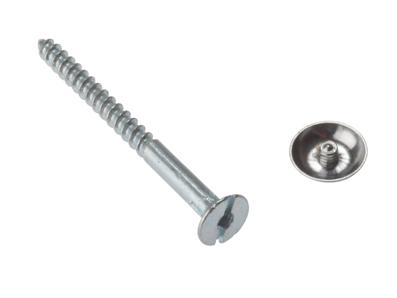 Mirror Screw Chrome 3/4" 10 Per Bag (D26)