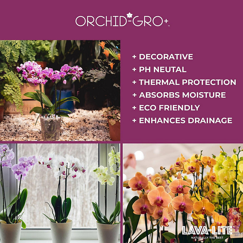 Lava-Lite Orchid Gro+ Potting Mix 1 Litre - OG1LTRB