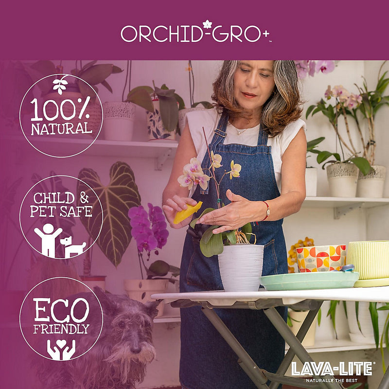 Lava-Lite Orchid Gro+ Potting Mix 3 Litre - OG3LTRB