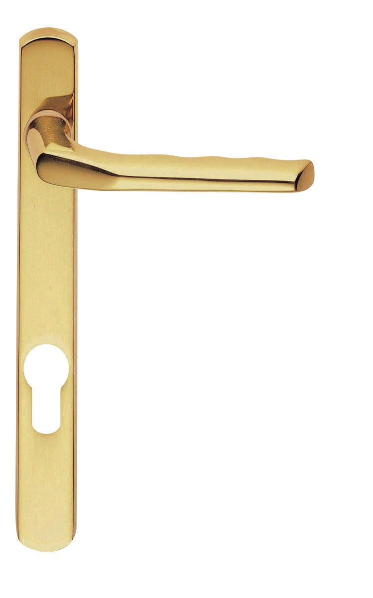 Straight Lever On Narrowplate - Lock Euro Profile (92Mm C/C) Co1 Otl (Polished Brass) - Polished Brass 208MM X 25MM