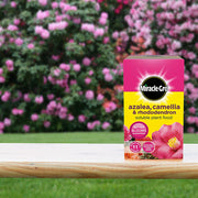 Miracle-Gro Ericaceous Plant feed 1kg