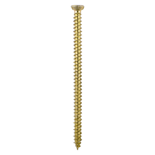TIMCO Concrete Screws Flat Countersunk Gold — Trade Pack