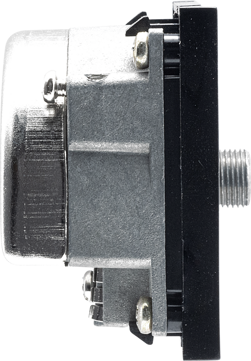 BG Electrical Euro Module - TV and satellite - IEC male radio IEC female