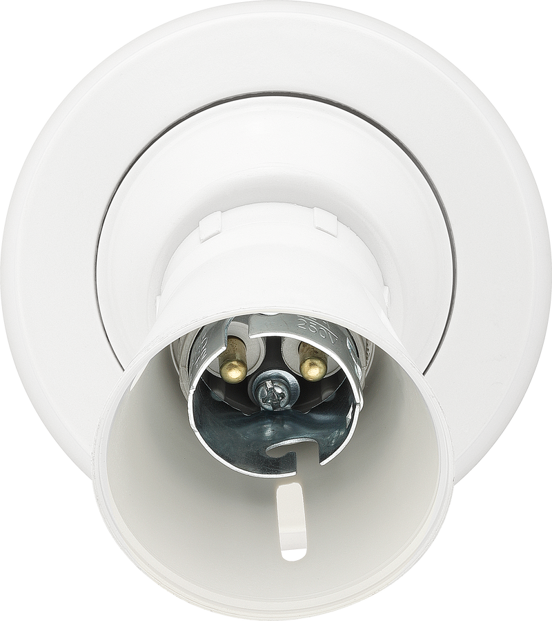 BG Electrical Ceiling Accessories - Enclosed, Angled, 2 terminal body, 3 terminals and earth in base, PVC tails, HO skirt