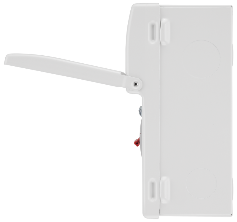BG Circuit Protection Main Switch - 16 module, 14 way, 100A Main Switch