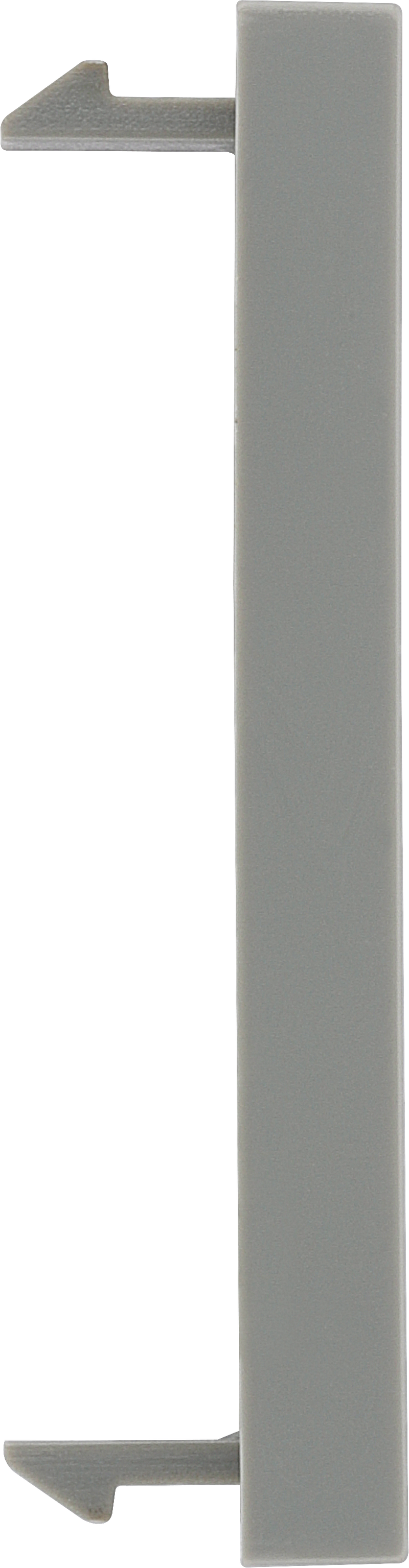 BG Electrical Euro Module - Blank (1pc)